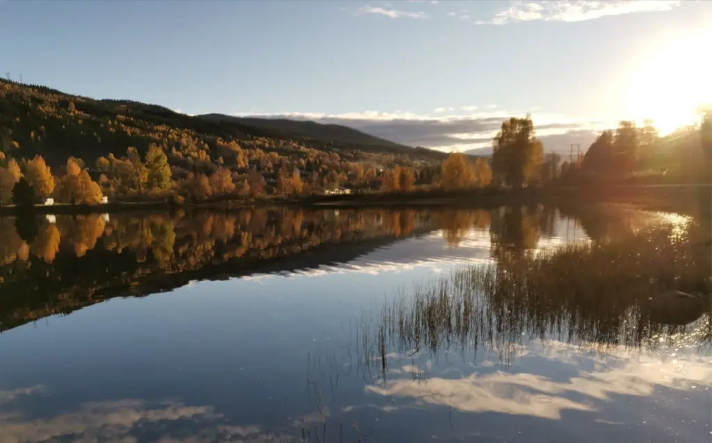 Bilde av elvelangs i Ål