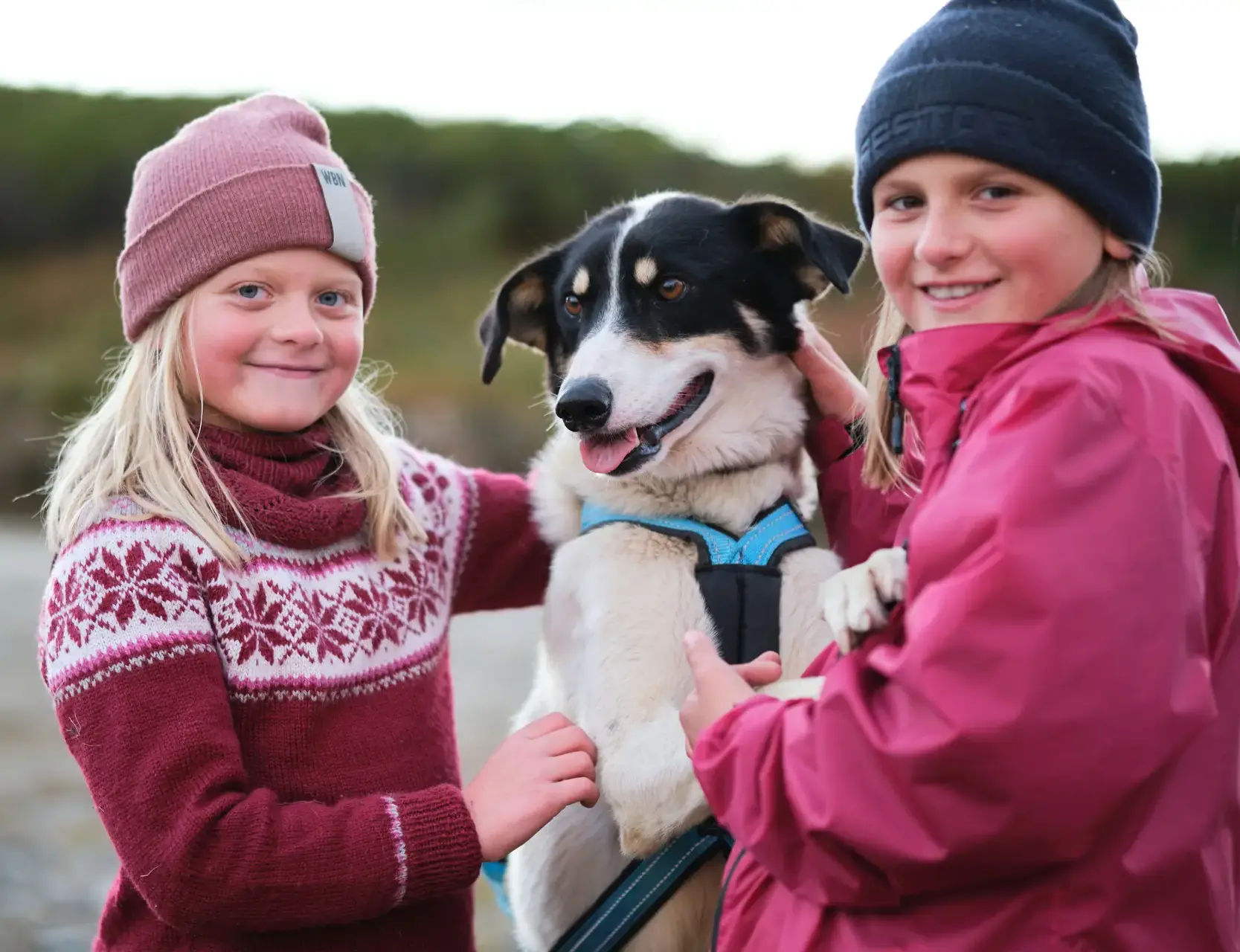 Hundekjøring på Bergsjøstølen