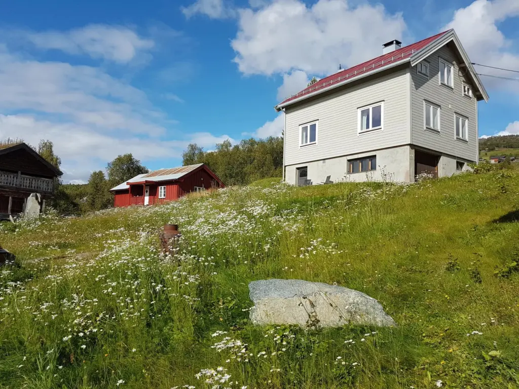 Bygningene på Leveld Kunstnartun i solskinn, omgitt av enger og fjellandskap i Leveld, Ål i Hallingdal.