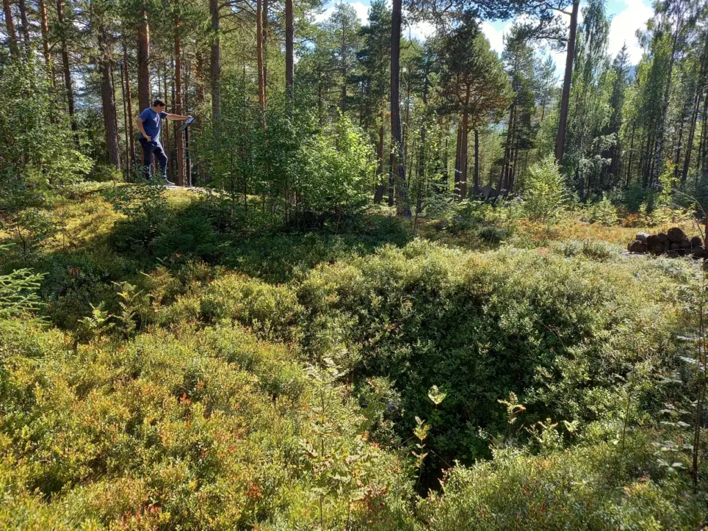 Bilde av informasjonsskiltet på turen inn til buestille og fangstgropen i Baklien ved Gullhaug