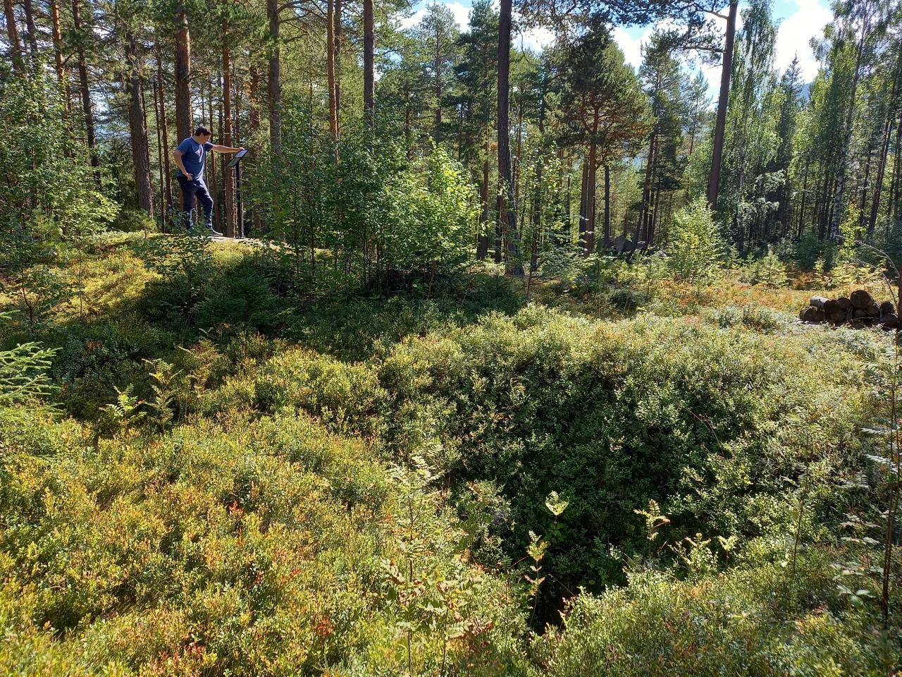 Bilde av informasjonsskiltet på turen inn til buestille og fangstgropen i Baklien ved Gullhaug