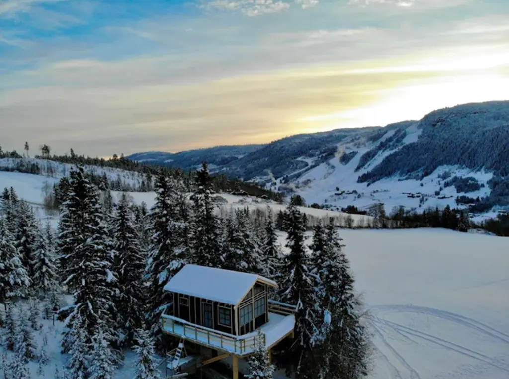 Tretopphytta på Tveitehaug Gard i Ål