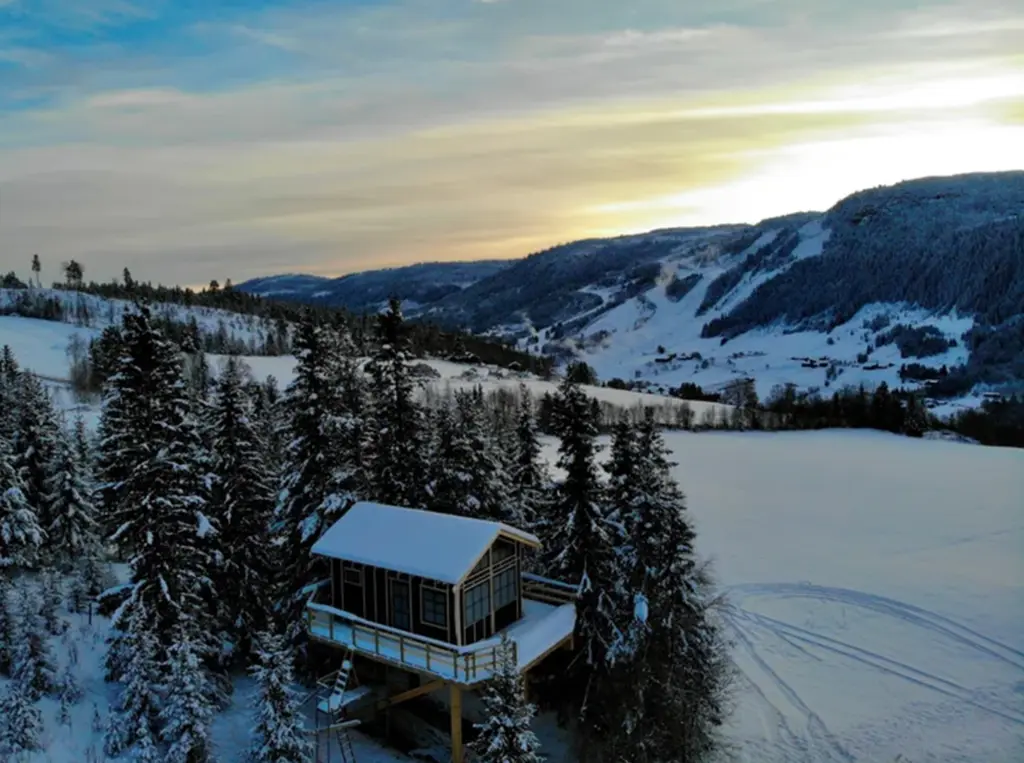 Tretopphytta på Tveitehaug Gård i Ål