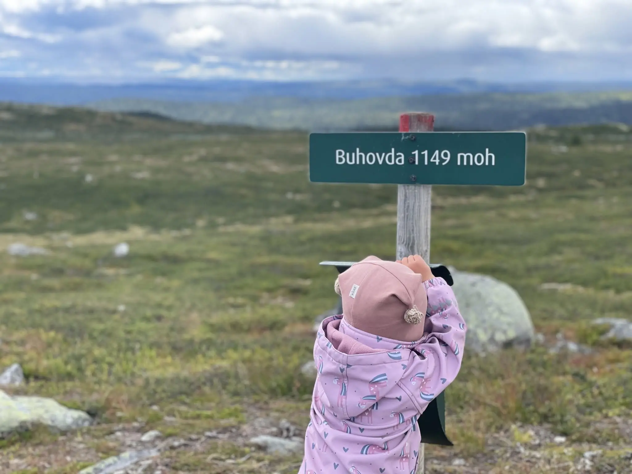 Barnas Turlag på Buhovda i Ål