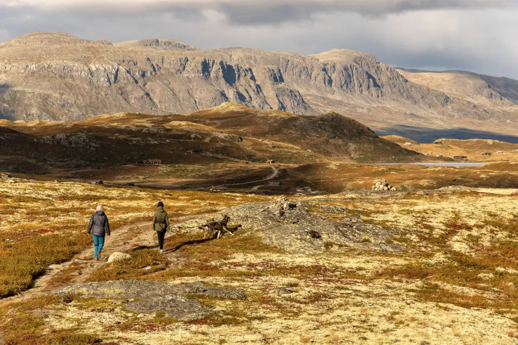 Utsikt utover Reineskarvet