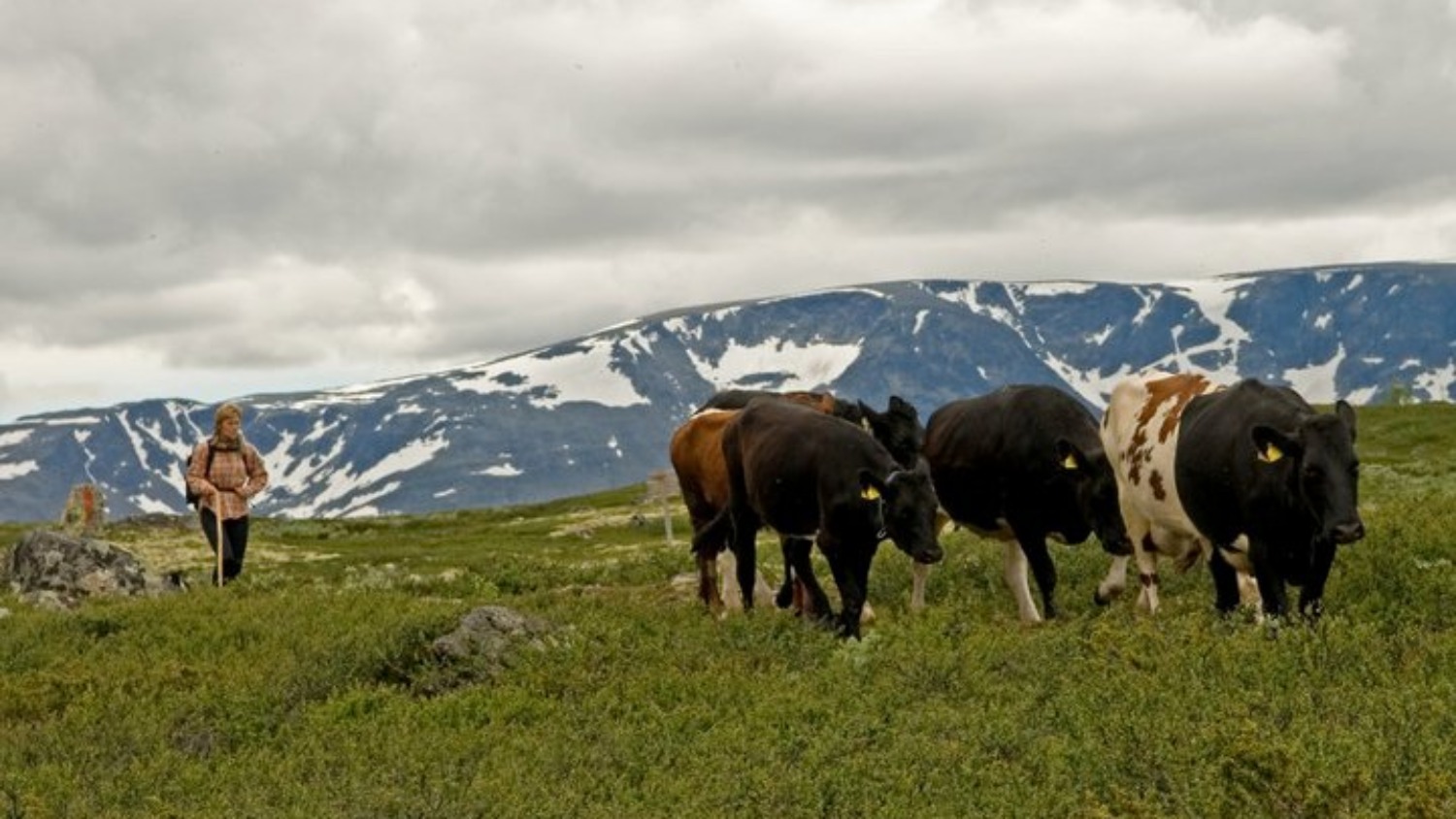 Fagerdalen støl