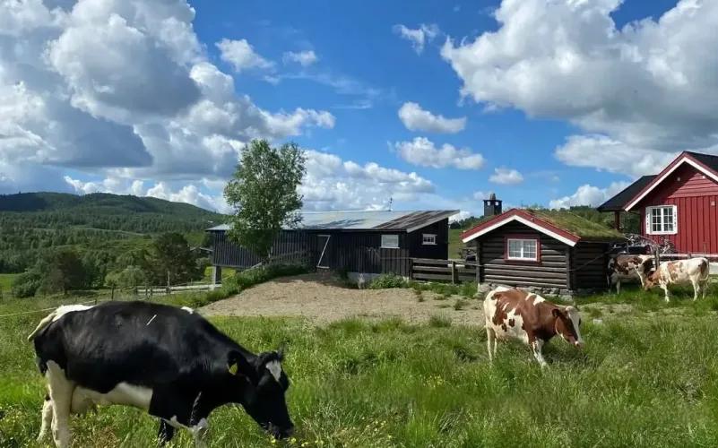 Bilde fra Tormodset i Ål
