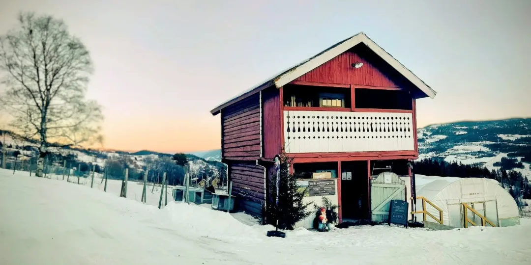 Bilde av et julepynte stabbur i Ål Markedshage