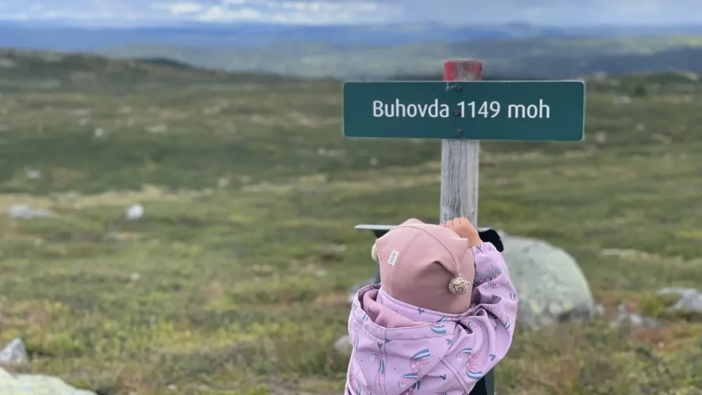 Barnas Turlag på Buhovda i Ål