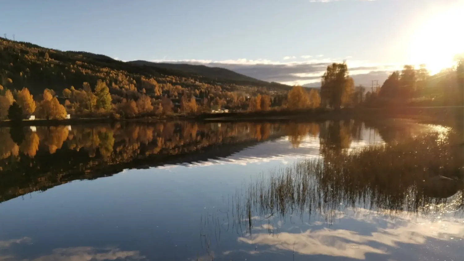 Bilde av elvelangs i Ål
