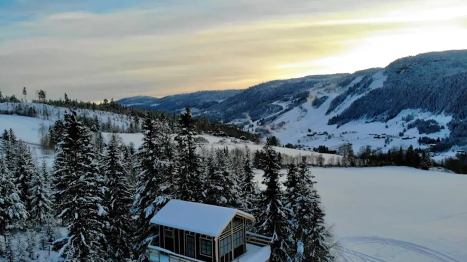 Tretopphytta på Tveitehaug Gard i Ål