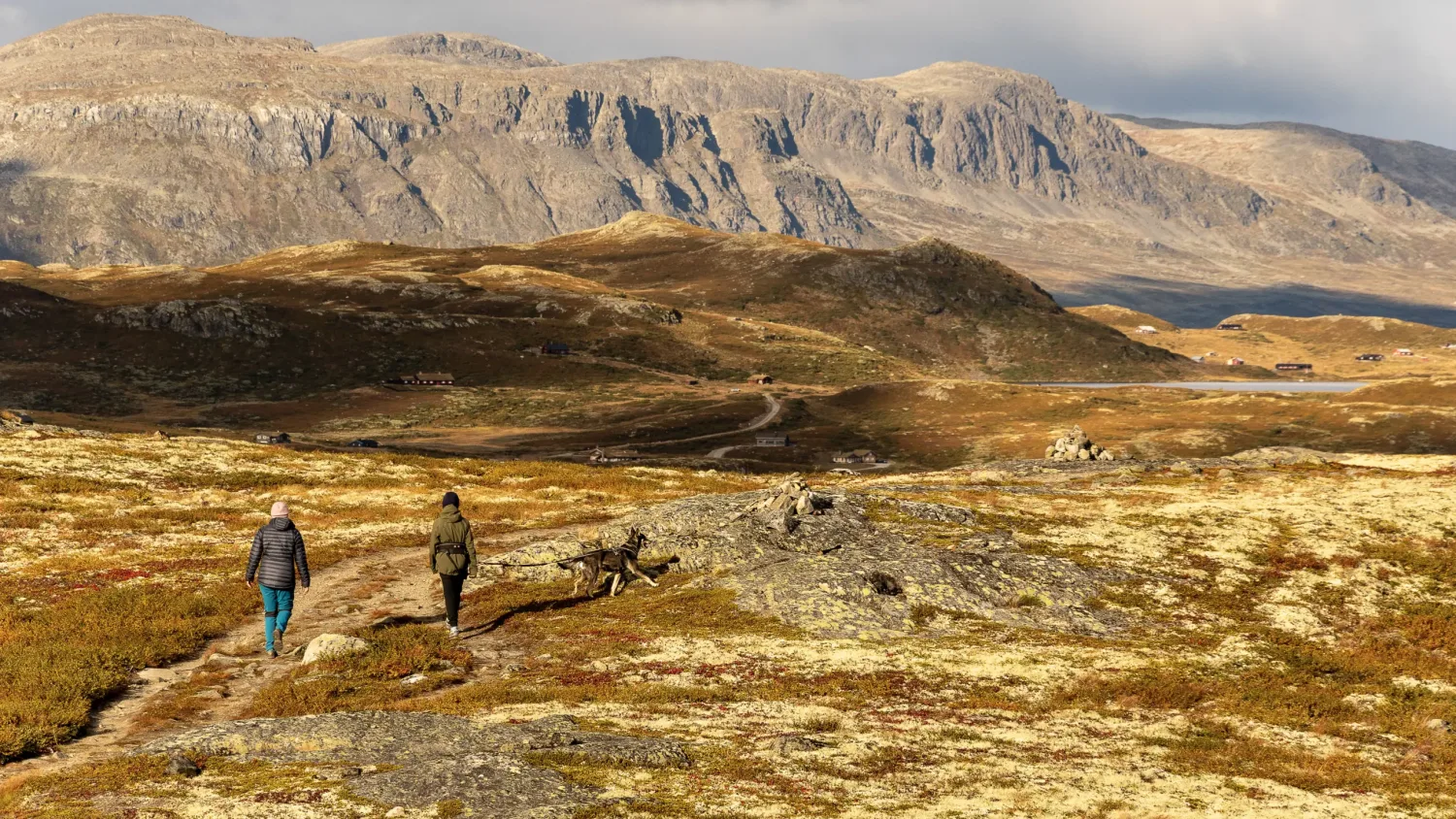 Utsikt utover Reineskarvet