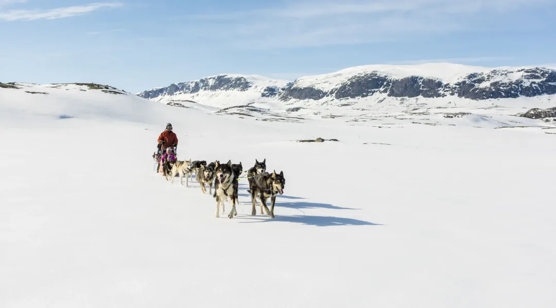 _VB09516vinter_hundekjøring_bergsjøområdet_reineskarvet